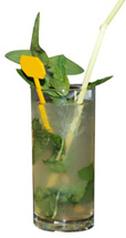 Cocktail Mojito